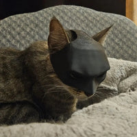 Cat Bat Mask